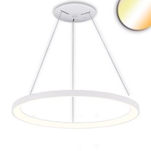 LED pakabinamas šviestuvas Orbit 780, juodas, 60 W, apvalus, ColorSwitch 3000|3500|4000 K, dimeriuojamas (Kopija)